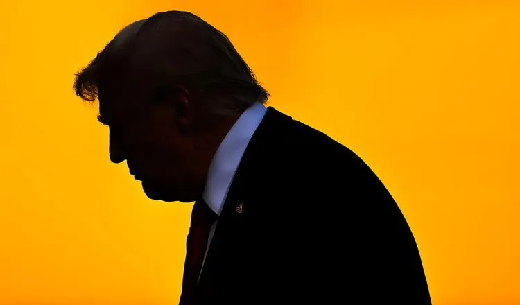 imagen del articulo