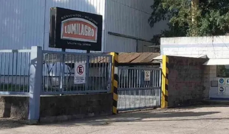 imagen del articulo