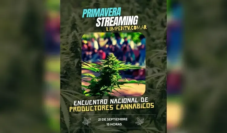 foto principal del articulo